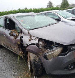 Turbo RENAULT CLIO 4 Photo n°7