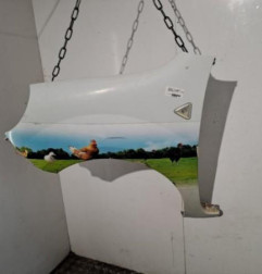 Aile avant gauche RENAULT KANGOO 2 Photo n°1