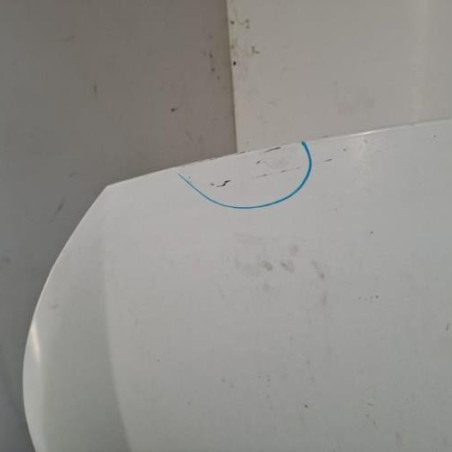 Capot PEUGEOT EXPERT 2 Photo n°1