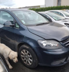 Porte avant droit VOLKSWAGEN GOLF PLUS Photo n°5