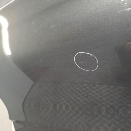 Porte arriere gauche CITROEN C4 2