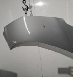 Capot RENAULT GRAND MODUS Photo n°1