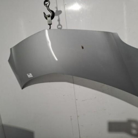 Capot RENAULT GRAND MODUS Photo n°1