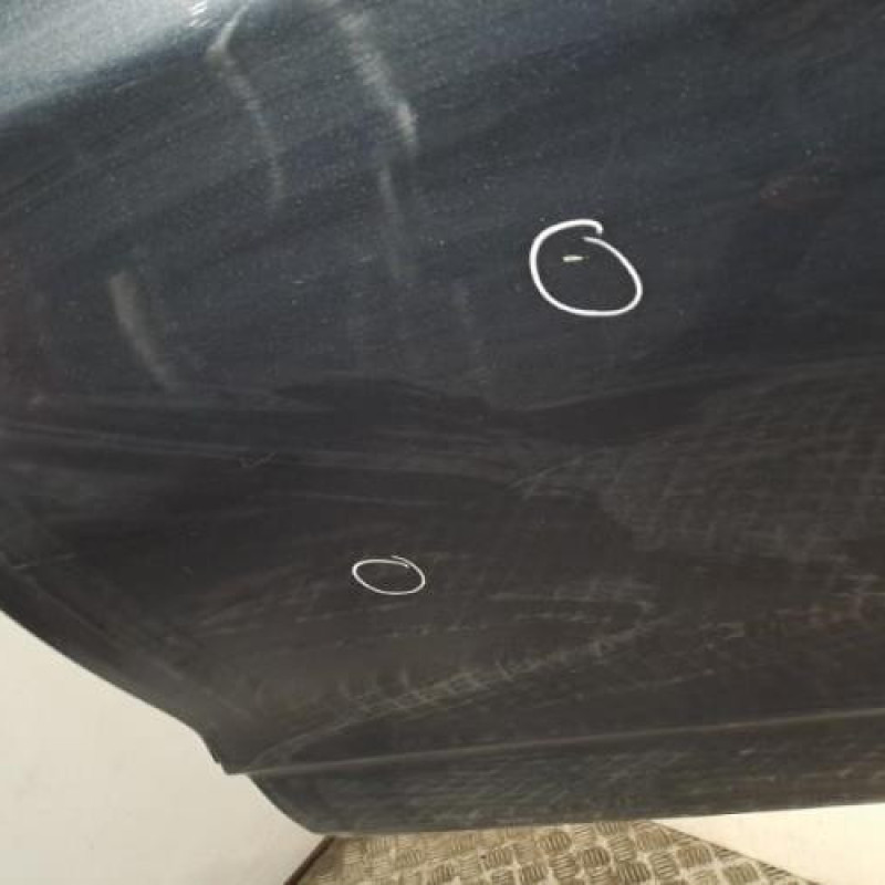 Porte arriere gauche CITROEN C4 2