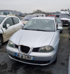 Porte arriere gauche SEAT IBIZA 3 Photo n°8