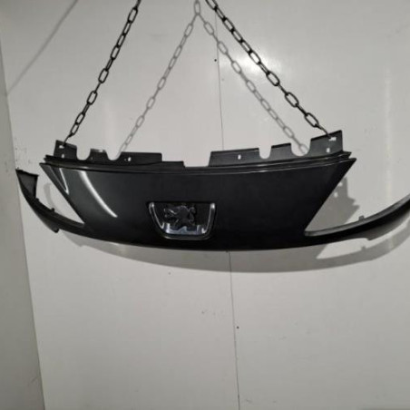 Calandre PEUGEOT 1007 Photo n°1