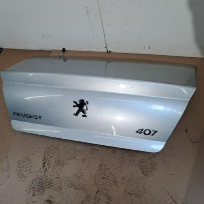 Malle/Hayon arriere PEUGEOT 407