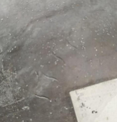 Boite de vitesses DAIHATSU SIRION 2