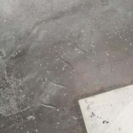 Boite de vitesses DAIHATSU SIRION 2