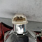 Feu arriere secondaire gauche (feux) VOLKSWAGEN GOLF 5