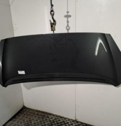 Capot PEUGEOT 1007 Photo n°1