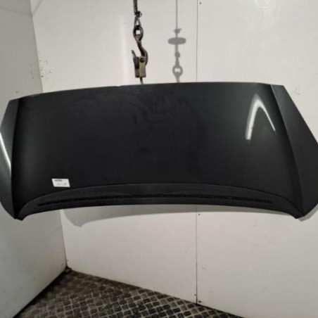 Capot PEUGEOT 1007 Photo n°1