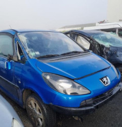 Porte avant droit PEUGEOT 1007 Photo n°5