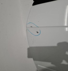 Porte avant gauche AUDI A3 2 Photo n°3