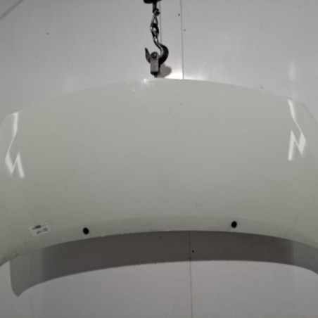 Capot RENAULT TWINGO 2