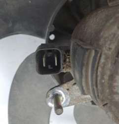 Ventilateur eau CITROEN BERLINGO 1 Photo n°1