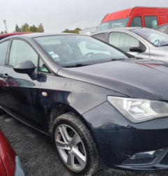 Porte arriere gauche SEAT IBIZA 4 Photo n°5