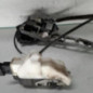 Serrure avant droit CITROEN C3 2