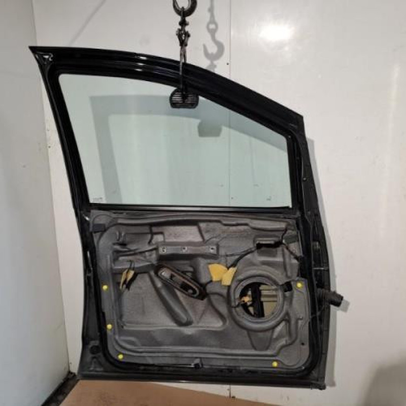 Porte avant gauche VOLKSWAGEN SHARAN 1