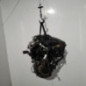 Moteur PEUGEOT 206+