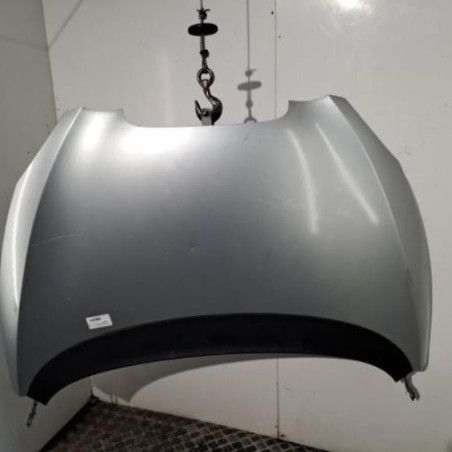 Capot SEAT TOLEDO 3 Photo n°1