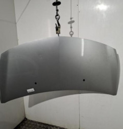 Capot RENAULT CLIO 3 Photo n°1