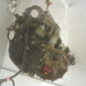Boite de vitesses TOYOTA COROLLA 10