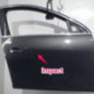 Porte avant droit OPEL INSIGNIA 1