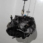 Boite de vitesses RENAULT CLIO 2