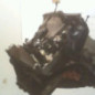 Boite de vitesses VOLVO C 30