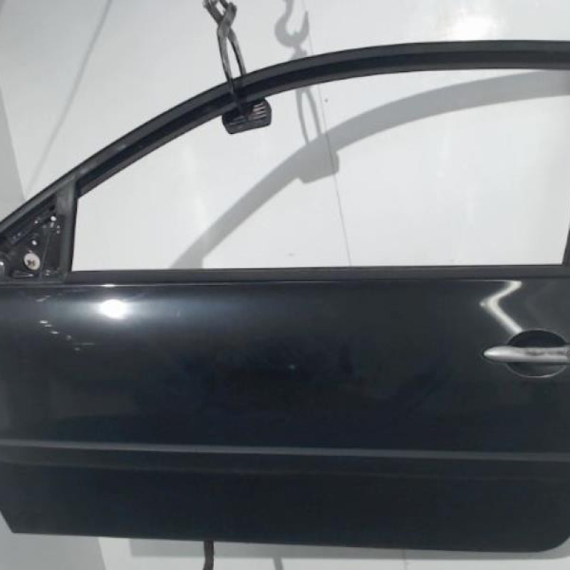 Porte avant gauche RENAULT MEGANE 2