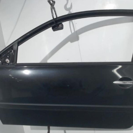 Porte avant gauche RENAULT MEGANE 2 Photo n°1