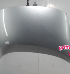 Capot RENAULT SCENIC 3 Photo n°6