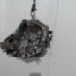Boite de vitesses PEUGEOT 107