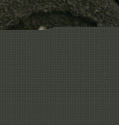 Demarreur FIAT PUNTO EVO 3