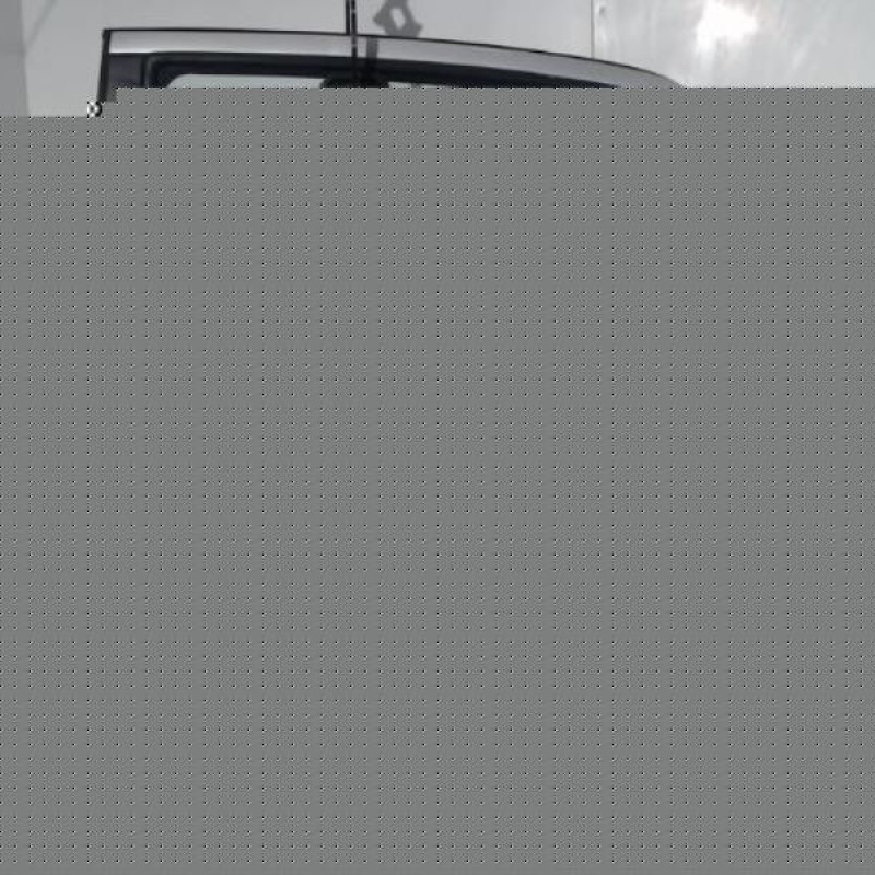 Porte arriere gauche HYUNDAI GETZ