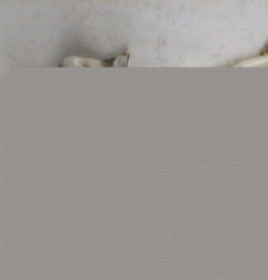 Vase de lave glace RENAULT LAGUNA 2 Photo n°1