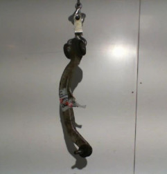 Triangle avant gauche AUDI A6 2 Photo n°3