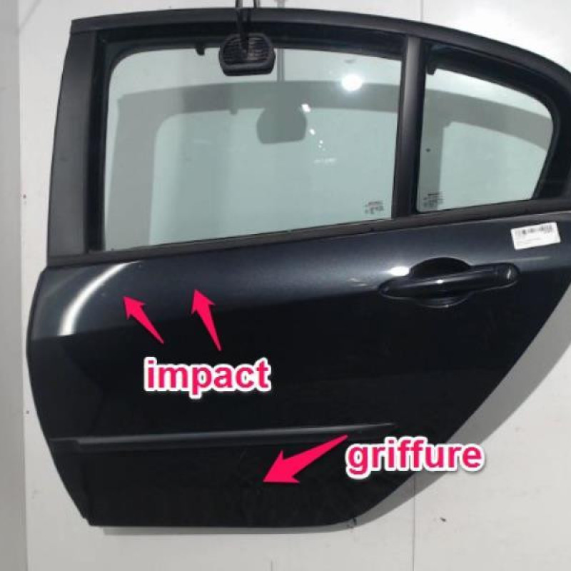 Porte arriere gauche RENAULT LAGUNA 3