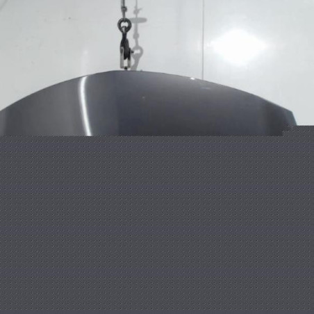 Capot RENAULT CLIO 3