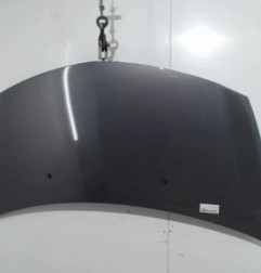 Capot RENAULT CLIO 3 Photo n°3