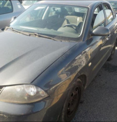 Porte arriere gauche SEAT IBIZA 3 Photo n°7