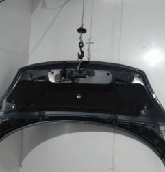 Capot RENAULT GRAND SCENIC 3 Photo n°3