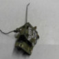 Serrure avant droit CITROEN ZX