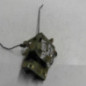 Serrure avant droit CITROEN ZX