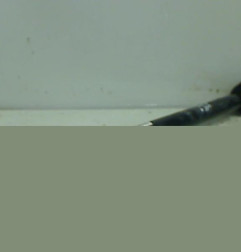 Cardan droit (transmission) VOLKSWAGEN GOLF Photo n°1