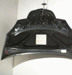 Capot LANCIA MUSA Photo n°6