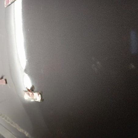 Porte arriere gauche RENAULT SCENIC 3