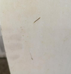 Porte de coffre droit FIAT DUCATO 3 Photo n°3