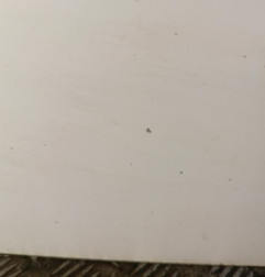 Porte avant gauche FIAT GRANDE PUNTO Photo n°6